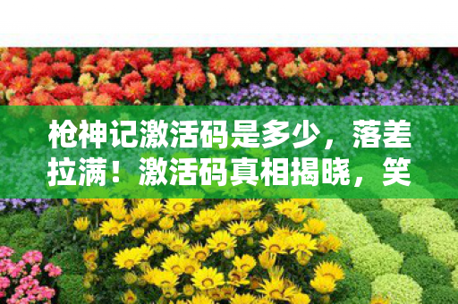 枪神记激活码是多少，落差拉满！激活码真相揭晓，笑着骂完却笑着笑着哭了