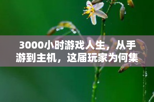 3000小时游戏人生,从手游到主机,这届玩家为何集体心酸? 3000小时游戏人生,从手游到主机,这届玩家为何集体心酸?