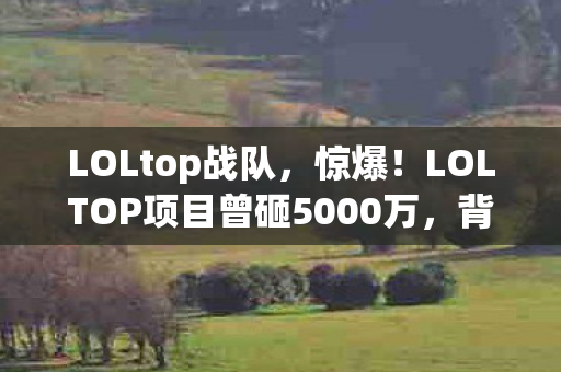 LOLtop战队,惊爆!LOLTOP项目曾砸5000万,背后隐情曝光,结果让人吓一跳! LOLtop战队,惊爆!LOLTOP项目曾砸5000万,背后隐情曝光,结果让人吓一跳!