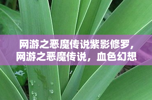 网游之恶魔传说紫影修罗,网游之恶魔传说,血色幻想里的羁绊与崛起 网游之恶魔传说紫影修罗,网游之恶魔传说,血色幻想里的羁绊与崛起