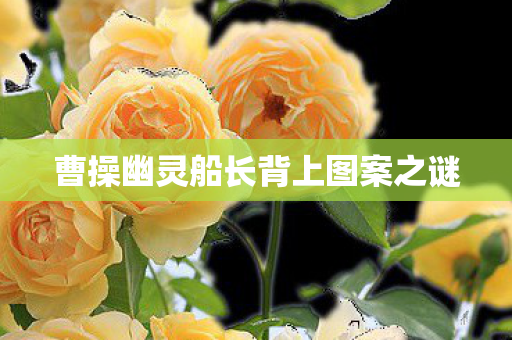 曹操幽灵船长背上图案之谜 曹操幽灵船长背上图案之谜