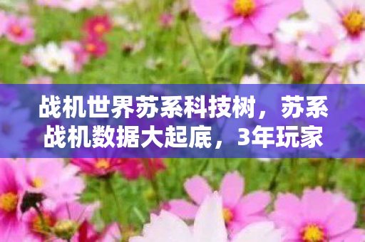 战机世界苏系科技树,苏系战机数据大起底,3年玩家流失率超60%,却藏着年入12亿的隐秘金矿? 战机世界苏系科技树,苏系战机数据大起底,3年玩家流失率超60%,却藏着年入12亿的隐秘金矿?