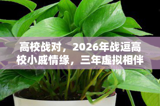 高校战对，2026年战逗高校小戚情缘，三年虚拟相伴，伏笔揭开时我鼻子一酸