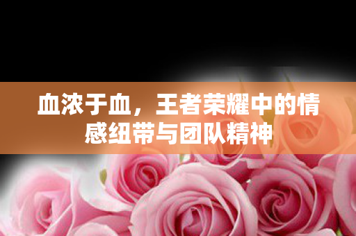 血浓于血,王者荣耀中的情感纽带与团队精神 血浓于血,王者荣耀中的情感纽带与团队精神