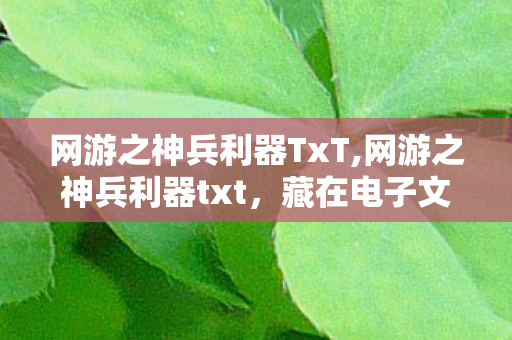 网游之神兵利器TxT,网游之神兵利器txt,藏在电子文档里的网游青春 网游之神兵利器TxT,网游之神兵利器txt,藏在电子文档里的网游青春