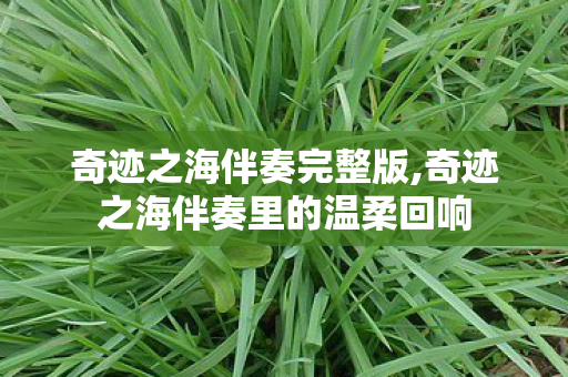 奇迹之海伴奏完整版,奇迹之海伴奏里的温柔回响 奇迹之海伴奏完整版,奇迹之海伴奏里的温柔回响
