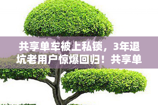 共享单车被上私锁,3年退坑老用户惊爆回归!共享单车挂树奇景竟成行业重生信号? 共享单车被上私锁,3年退坑老用户惊爆回归!共享单车挂树奇景竟成行业重生信号?