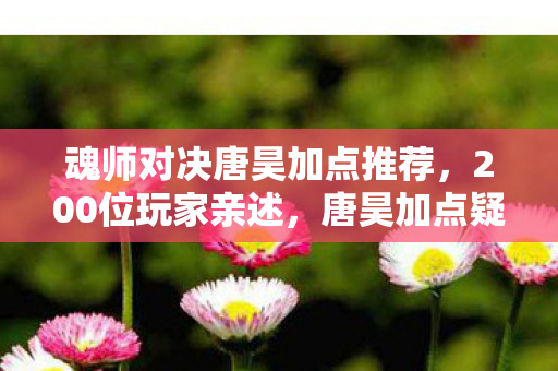 魂师对决唐昊加点推荐，200位玩家亲述，唐昊加点疑云密布，我绷不住在网吧哭成狗！