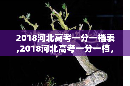 2018河北高考一分一档表,2018河北高考一分一档,志愿填报的精准指南针 2018河北高考一分一档表,2018河北高考一分一档,志愿填报的精准指南针