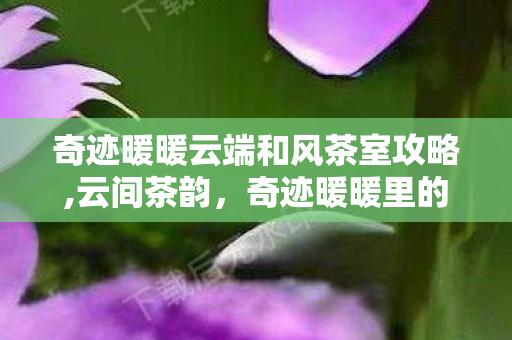 奇迹暖暖云端和风茶室攻略,云间茶韵，奇迹暖暖里的和风茶室闲趣