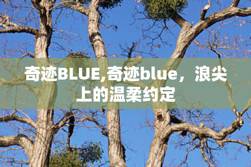 奇迹BLUE,奇迹blue,浪尖上的温柔约定 奇迹BLUE,奇迹blue,浪尖上的温柔约定
