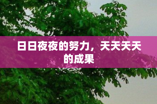 日日夜夜的努力,天天天天的成果 日日夜夜的努力,天天天天的成果