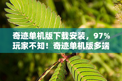 奇迹单机版下载安装,97%玩家不知!奇迹单机版多端实测,这操作差距大到离谱! 奇迹单机版下载安装,97%玩家不知!奇迹单机版多端实测,这操作差距大到离谱!