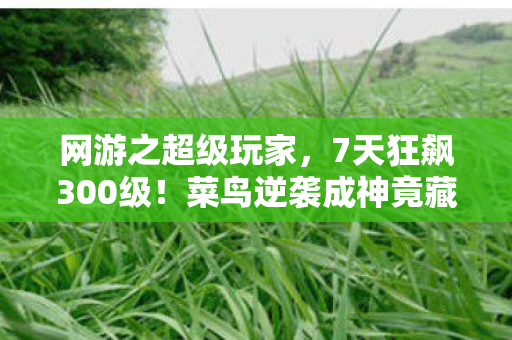 网游之超级玩家,7天狂飙300级!菜鸟逆袭成神竟藏惊天秘密? 网游之超级玩家,7天狂飙300级!菜鸟逆袭成神竟藏惊天秘密?