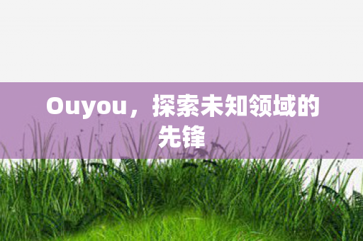 Ouyou，探索未知领域的先锋