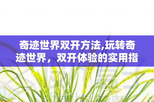 奇迹世界双开方法,玩转奇迹世界,双开体验的实用指南 奇迹世界双开方法,玩转奇迹世界,双开体验的实用指南