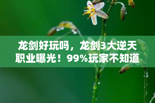 龙剑好玩吗,龙剑3大逆天职业曝光!99%玩家不知道的隐藏玩法太上头! 龙剑好玩吗,龙剑3大逆天职业曝光!99%玩家不知道的隐藏玩法太上头!