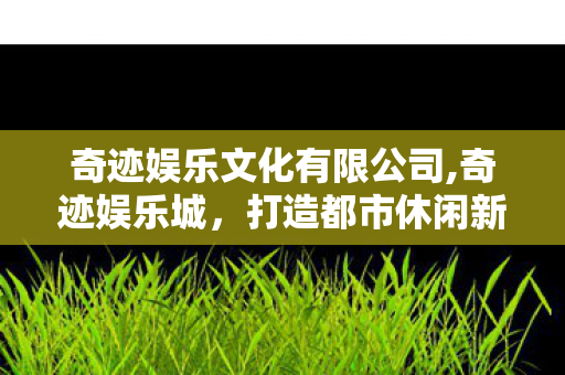 奇迹娱乐文化有限公司,奇迹娱乐城，打造都市休闲新地标