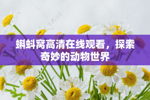 蝌蚪窝高清在线观看,探索奇妙的动物世界 蝌蚪窝高清在线观看,探索奇妙的动物世界