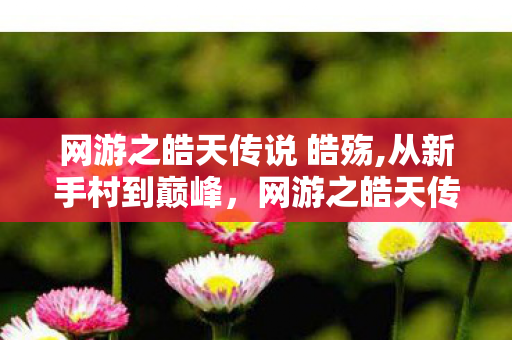 网游之皓天传说 皓殇,从新手村到巅峰,网游之皓天传说里的热血征途 网游之皓天传说 皓殇,从新手村到巅峰,网游之皓天传说里的热血征途