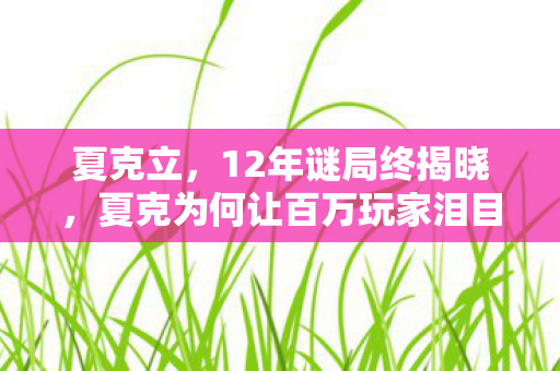夏克立,12年谜局终揭晓,夏克为何让百万玩家泪目? 夏克立,12年谜局终揭晓,夏克为何让百万玩家泪目?