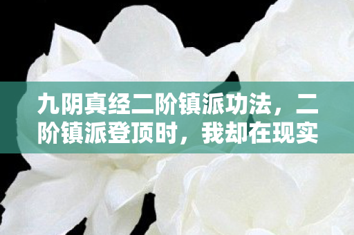 九阴真经二阶镇派功法,二阶镇派登顶时,我却在现实深渊里成了最卑微的逃兵 九阴真经二阶镇派功法,二阶镇派登顶时,我却在现实深渊里成了最卑微的逃兵