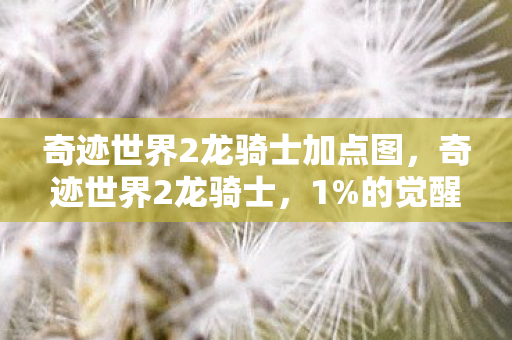 奇迹世界2龙骑士加点图，奇迹世界2龙骑士，1%的觉醒者，在99%的黑暗里撕开命运裂缝