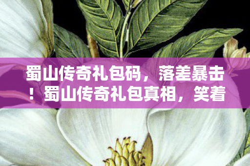 蜀山传奇礼包码，落差暴击！蜀山传奇礼包真相，笑着氪金，哭着卸载又真香？