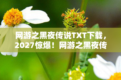 网游之黑夜传说TXT下载,2027惊爆!网游之黑夜传说99%玩家竟被这设定逼疯? 网游之黑夜传说TXT下载,2027惊爆!网游之黑夜传说99%玩家竟被这设定逼疯?