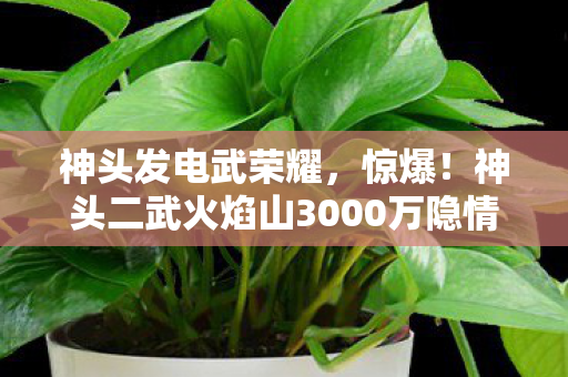 神头发电武荣耀,惊爆!神头二武火焰山3000万隐情曝光,真相让人吓一跳! 神头发电武荣耀,惊爆!神头二武火焰山3000万隐情曝光,真相让人吓一跳!