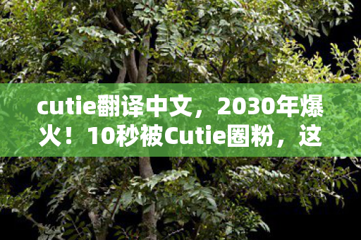 cutie翻译中文，2030年爆火！10秒被Cutie圈粉，这反差感让我彻底破防了！