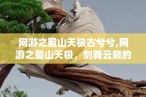 网游之蜀山天极古兮兮,网游之蜀山天极,剑舞云巅的仙侠江湖 网游之蜀山天极古兮兮,网游之蜀山天极,剑舞云巅的仙侠江湖