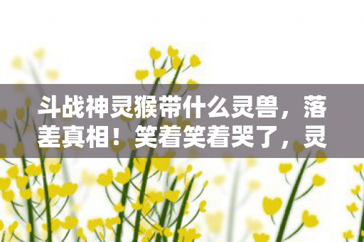 斗战神灵猴带什么灵兽，落差真相！笑着笑着哭了，灵猴宠物竟藏着斗战神最深的坑