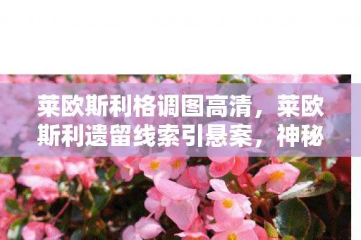 莱欧斯利格调图高清,莱欧斯利遗留线索引悬案,神秘事件频发背后毛骨悚然真相 莱欧斯利格调图高清,莱欧斯利遗留线索引悬案,神秘事件频发背后毛骨悚然真相