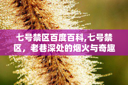 七号禁区百度百科,七号禁区,老巷深处的烟火与奇趣 七号禁区百度百科,七号禁区,老巷深处的烟火与奇趣