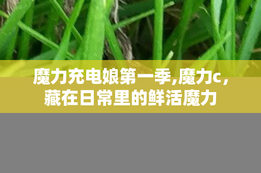 魔力充电娘第一季,魔力c,藏在日常里的鲜活魔力 魔力充电娘第一季,魔力c,藏在日常里的鲜活魔力