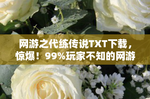 网游之代练传说TXT下载,惊爆!99%玩家不知的网游之代练传说隐藏结局,速看! 网游之代练传说TXT下载,惊爆!99%玩家不知的网游之代练传说隐藏结局,速看!