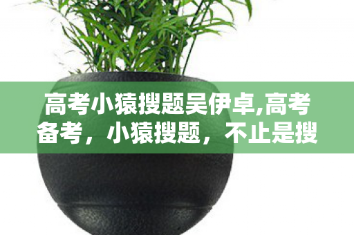 高考小猿搜题吴伊卓,高考备考,小猿搜题,不止是搜题 高考小猿搜题吴伊卓,高考备考,小猿搜题,不止是搜题