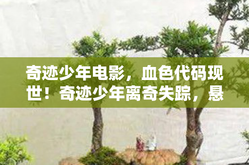 奇迹少年电影,血色代码现世!奇迹少年离奇失踪,悬案背后暗藏毛骨悚然真相 奇迹少年电影,血色代码现世!奇迹少年离奇失踪,悬案背后暗藏毛骨悚然真相