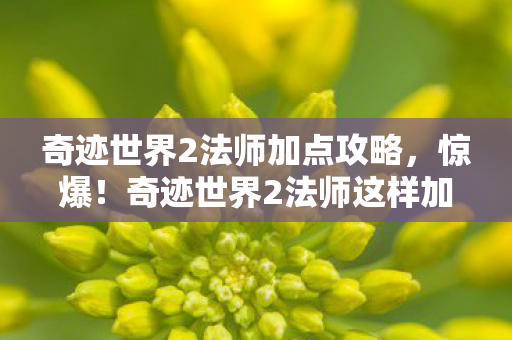 奇迹世界2法师加点攻略,惊爆!奇迹世界2法师这样加点,输出飙升300%的秘密? 奇迹世界2法师加点攻略,惊爆!奇迹世界2法师这样加点,输出飙升300%的秘密?