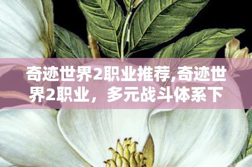 奇迹世界2职业推荐,奇迹世界2职业，多元战斗体系下的角色魅力与策略选择