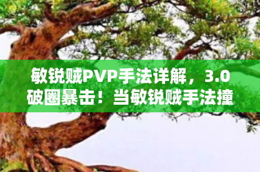 敏锐贼PVP手法详解,3.0破圈暴击!当敏锐贼手法撞上二次元,这波操作让房东都惊了! 敏锐贼PVP手法详解,3.0破圈暴击!当敏锐贼手法撞上二次元,这波操作让房东都惊了!