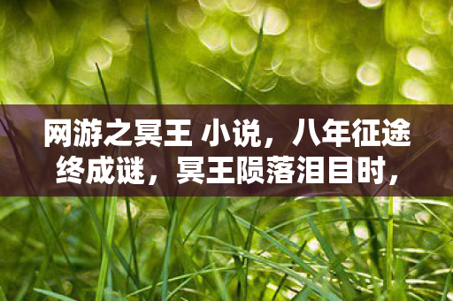 网游之冥王 小说,八年征途终成谜,冥王陨落泪目时,谁解老玩家心中痴? 网游之冥王 小说,八年征途终成谜,冥王陨落泪目时,谁解老玩家心中痴?