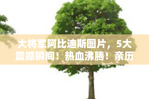 大将军阿比迪斯图片,5大震撼瞬间!热血沸腾!亲历大将军阿比迪斯的传奇战场 大将军阿比迪斯图片,5大震撼瞬间!热血沸腾!亲历大将军阿比迪斯的传奇战场