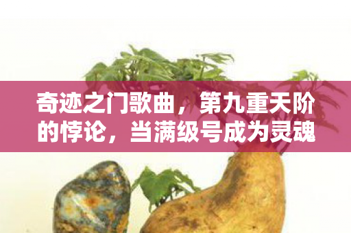 奇迹之门歌曲,第九重天阶的悖论,当满级号成为灵魂的枷锁,我听见门后深渊在笑 奇迹之门歌曲,第九重天阶的悖论,当满级号成为灵魂的枷锁,我听见门后深渊在笑