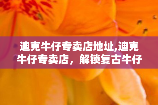 迪克牛仔专卖店地址,迪克牛仔专卖店,解锁复古牛仔穿搭的专属空间 迪克牛仔专卖店地址,迪克牛仔专卖店,解锁复古牛仔穿搭的专属空间