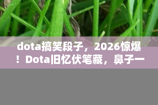 dota搞笑段子,2026惊爆!Dota旧忆伏笔藏,鼻子一酸忆往昔 dota搞笑段子,2026惊爆!Dota旧忆伏笔藏,鼻子一酸忆往昔