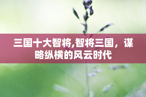 三国十大智将,智将三国，谋略纵横的风云时代