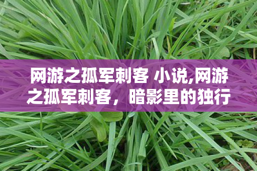 网游之孤军刺客 小说,网游之孤军刺客,暗影里的独行锋芒 网游之孤军刺客 小说,网游之孤军刺客,暗影里的独行锋芒
