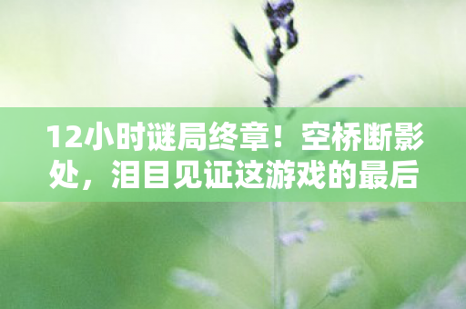 12小时谜局终章!空桥断影处,泪目见证这游戏的最后心跳 12小时谜局终章!空桥断影处,泪目见证这游戏的最后心跳